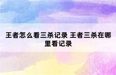 王者怎么看三杀记录 王者三杀在哪里看记录